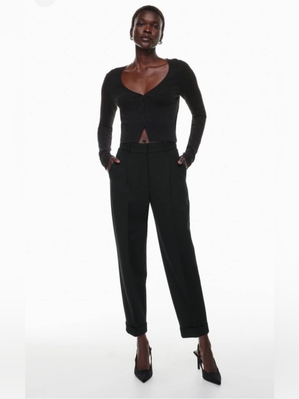 Aritzia Wilfred Dashwood Crepe High-Waisted Pleated Pants Size 10